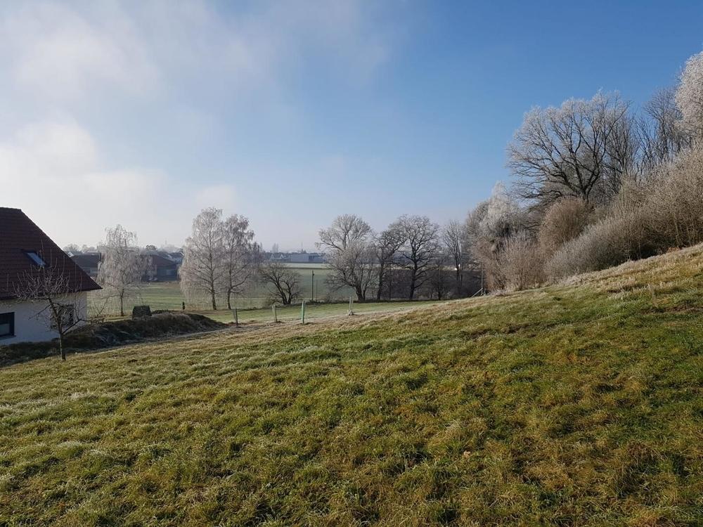Blick über das Grundstück