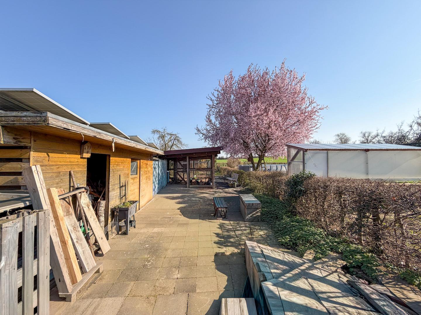 50 Vorplatz Holzlager