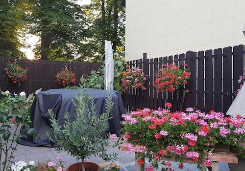 Den Sommer geniessen.....