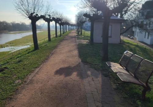 Rheindeich im Winter 2