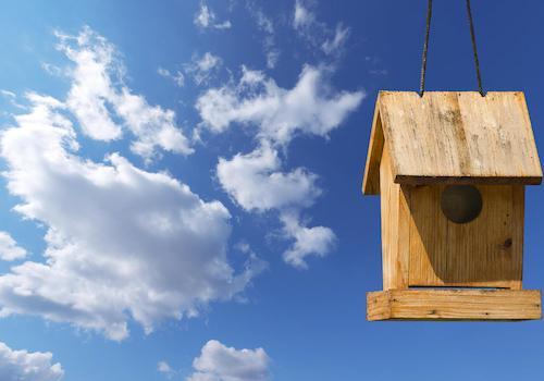 blauer Himmel und Vogelhaus