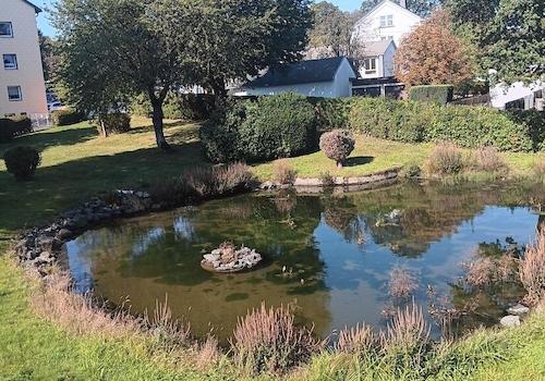 Blick von der Terrasse - Teil 1