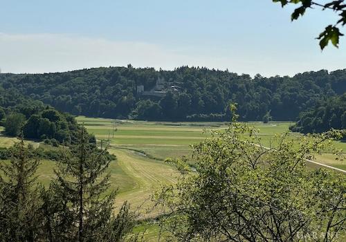 Blick über das Wiesental