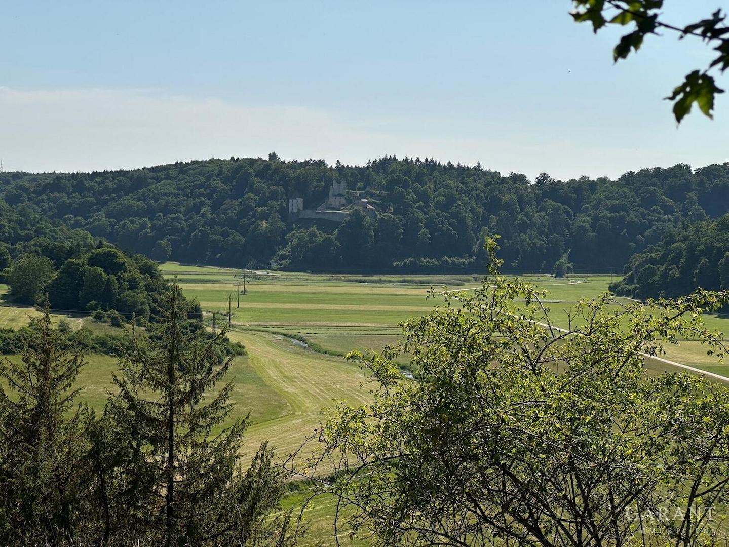 Blick über das Wiesental