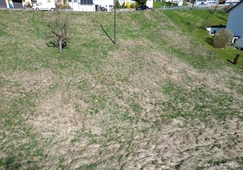 dji fly 20250405 104504 745 1743843079756 photo