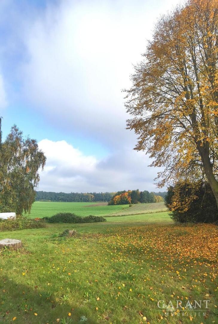 IMG 20251016 152741 edit 318527524252435