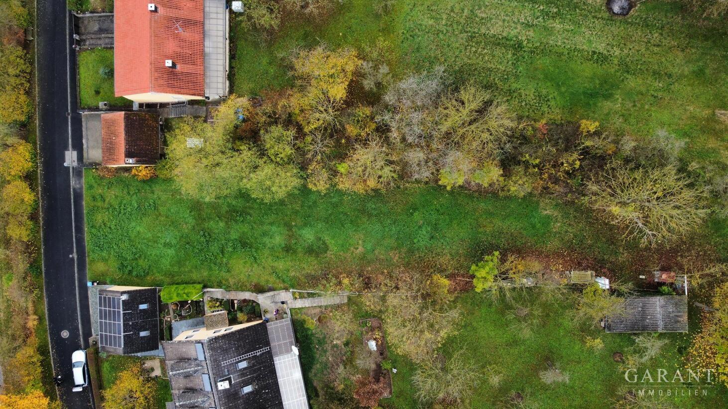 dji fly 20241111 124450 740 1731325640675 photo op