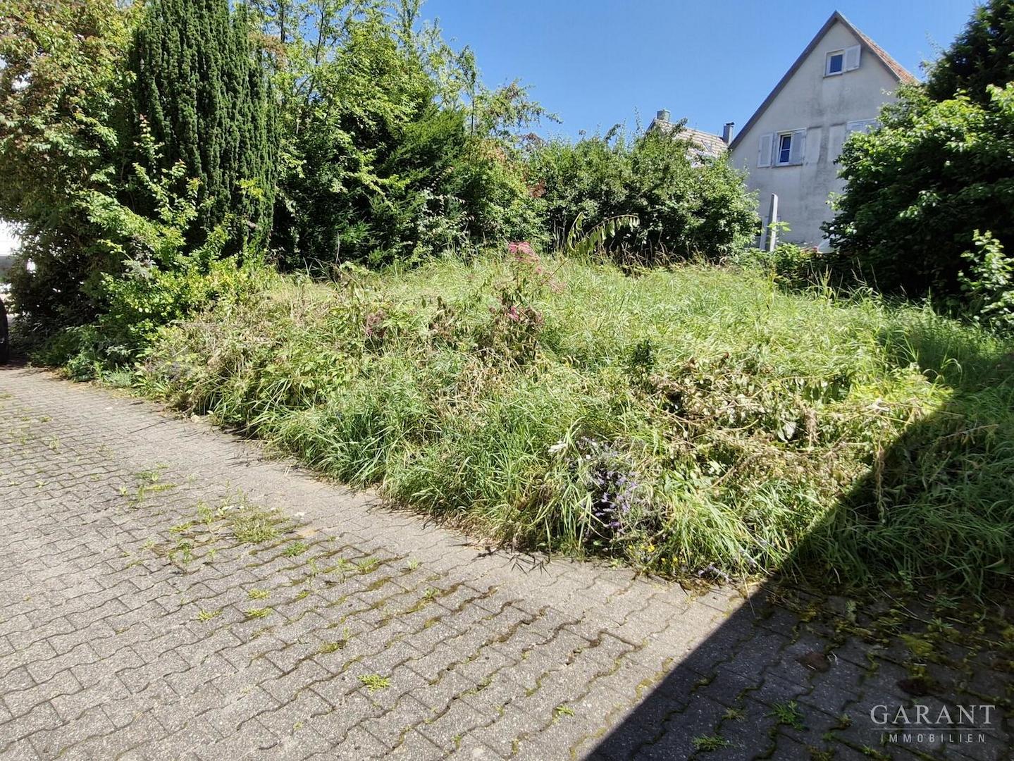 Grundstück und Einfahrt