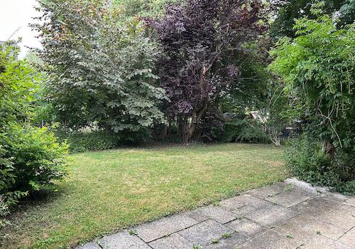 Eingewachsener Garten