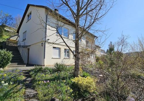 Garten-Suedseite-20250404 113513