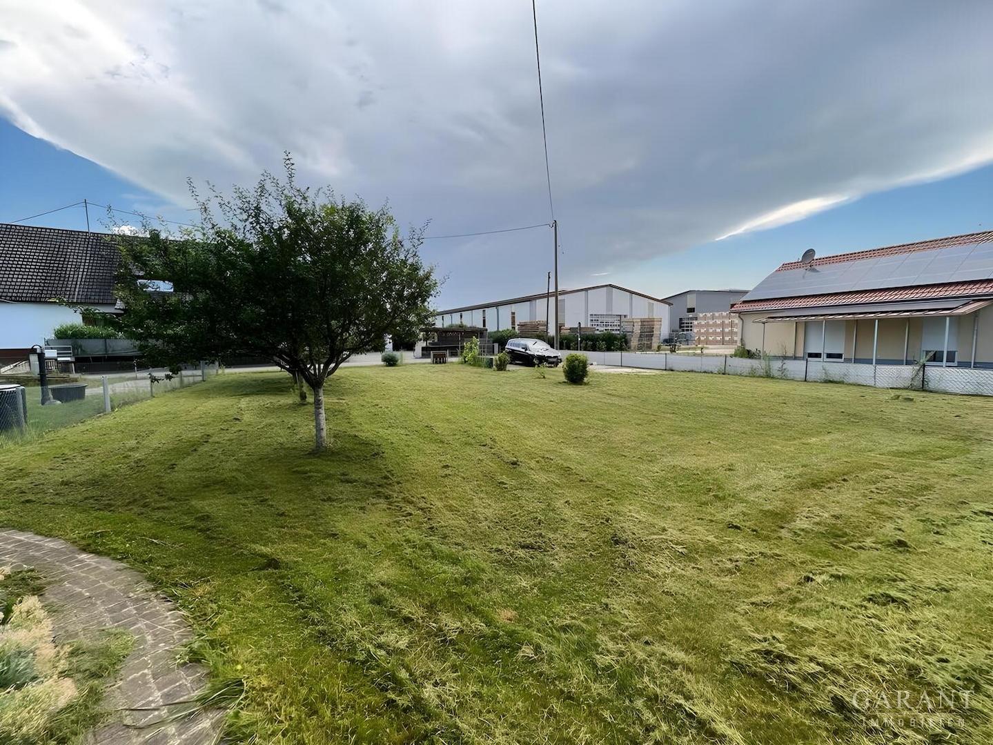 b7666d19-4d20-4648-82f6-da191186d465 Nero AI Image