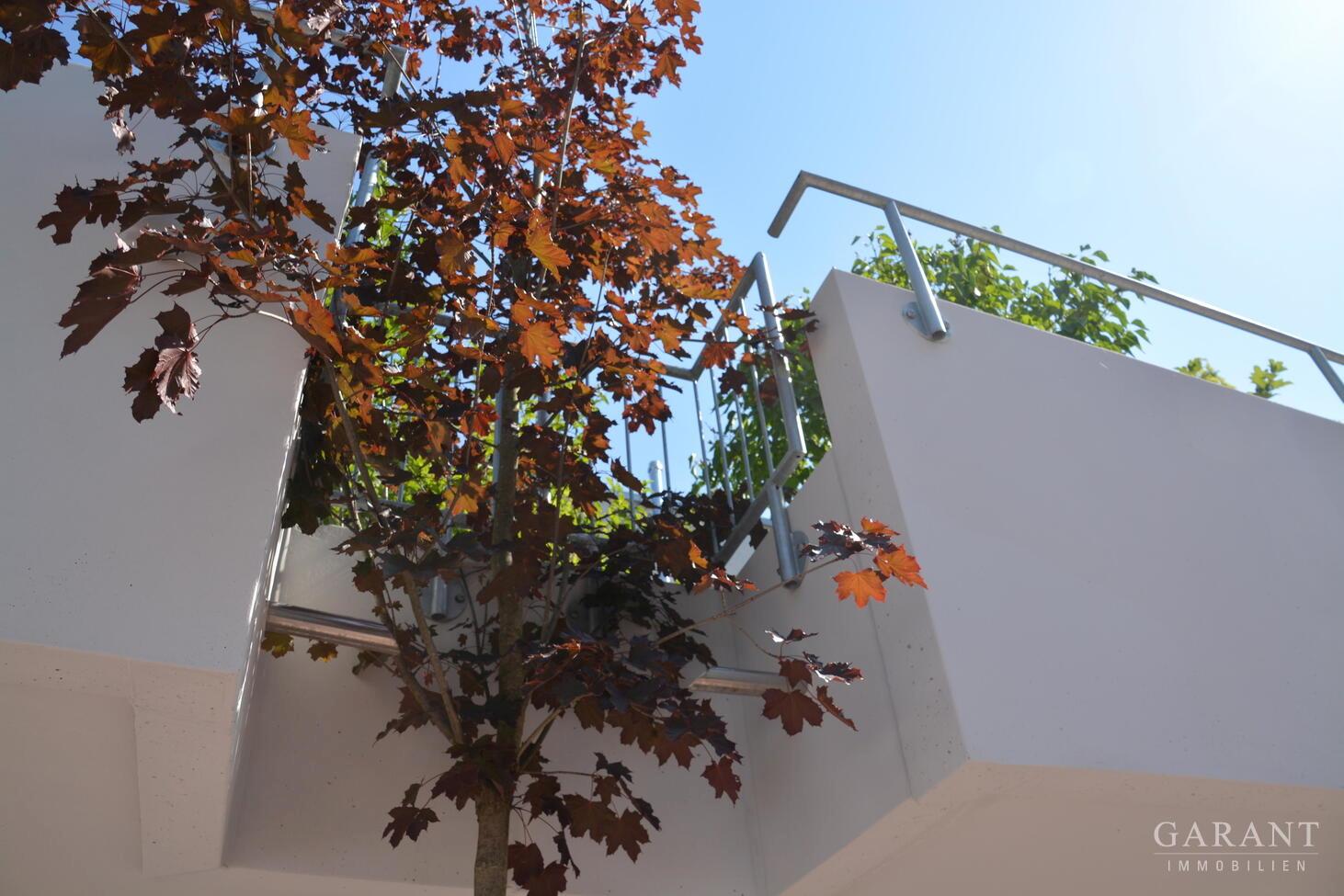 2015-08-07-Dett-015-MS