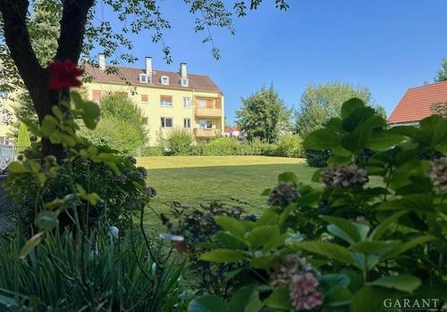 Blick in den Gemeinschaftsgarten