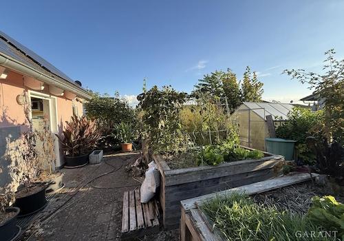 Garten, Gewächshaus