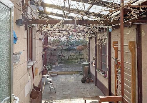 Terrasse mit Kiwibaum