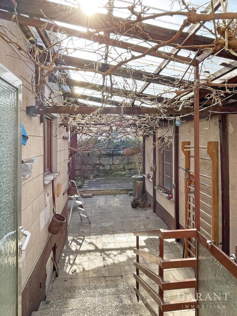 Terrasse mit Kiwibaum