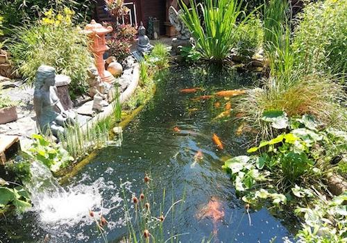 Gartenansicht mit Koiteich2
