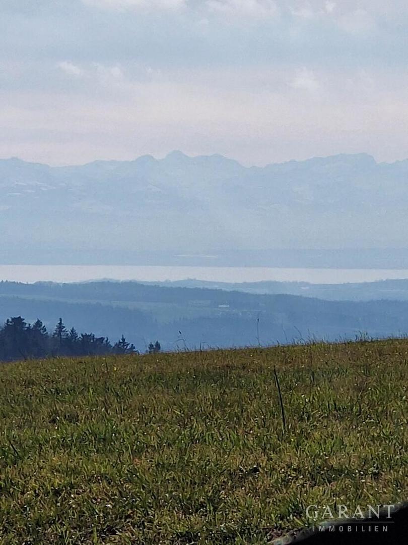 Ausblick vom "Höchsten"