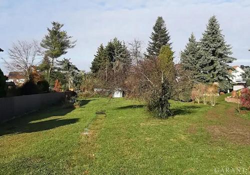 Grundstück Lindenthal Bild 1