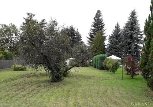 Grundstück Lindenthal Bild 2