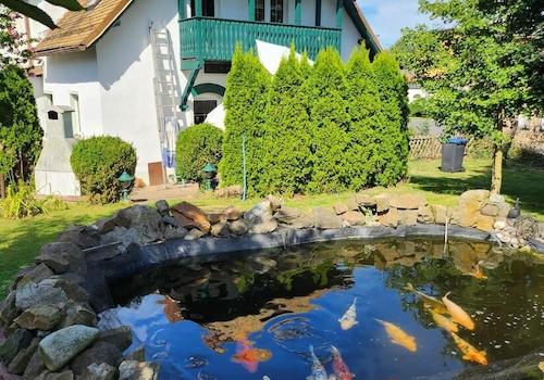 03 Südansicht mit Koi-Teich