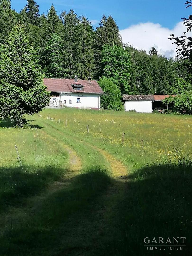 Weg zw. Haus und Weiher