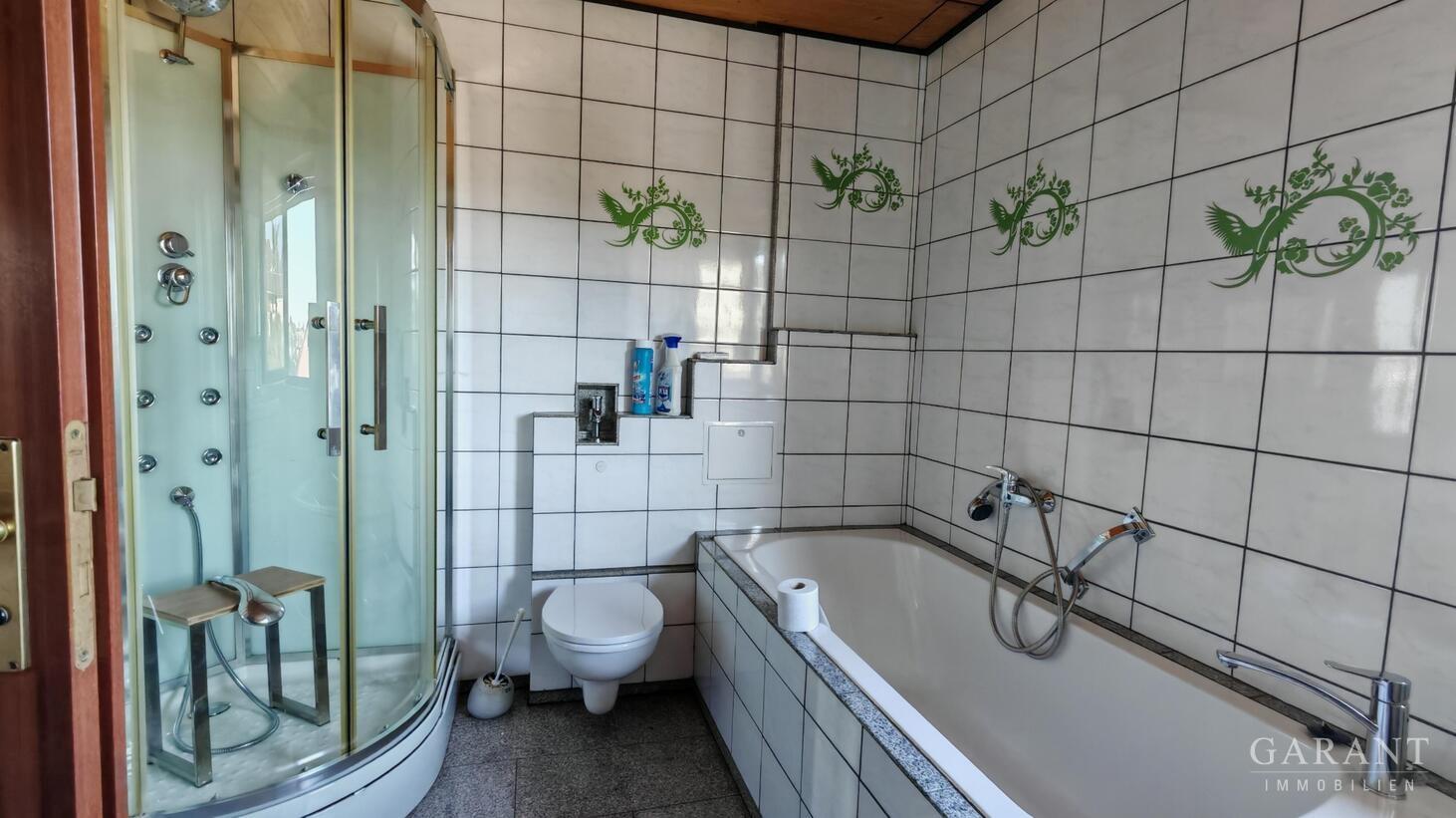 Badansicht mit Dusche OG