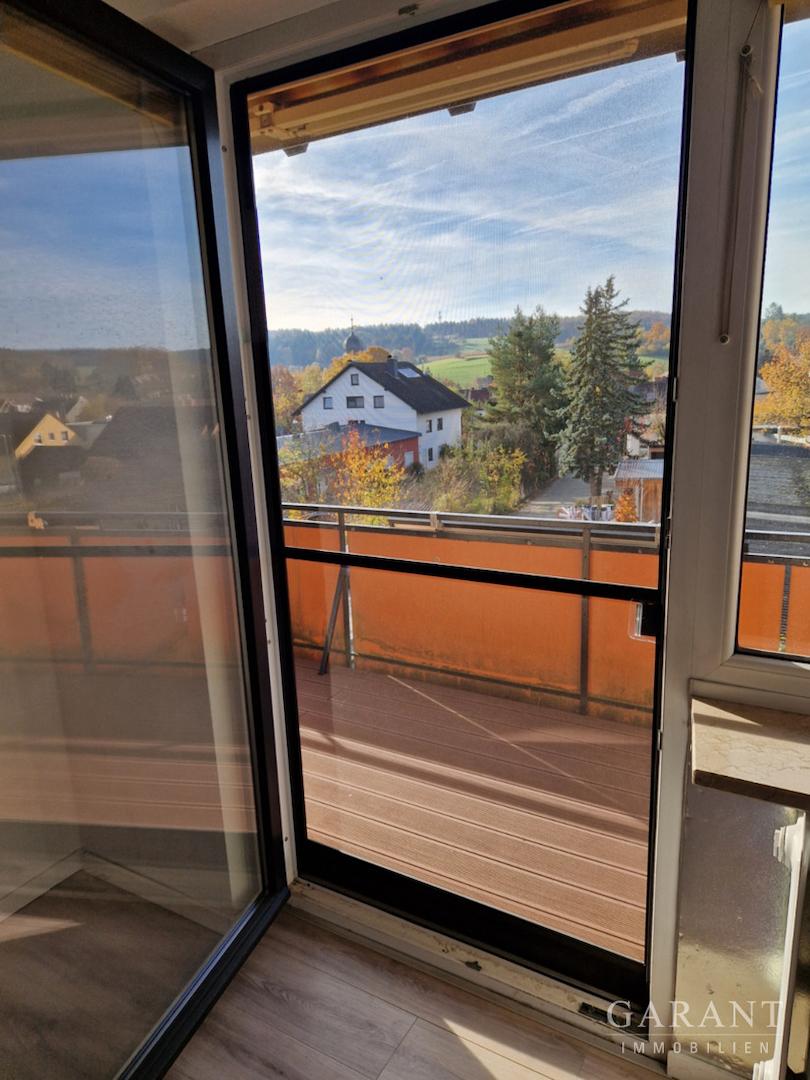 Balkontür mit Fliegengitter - Fernsicht