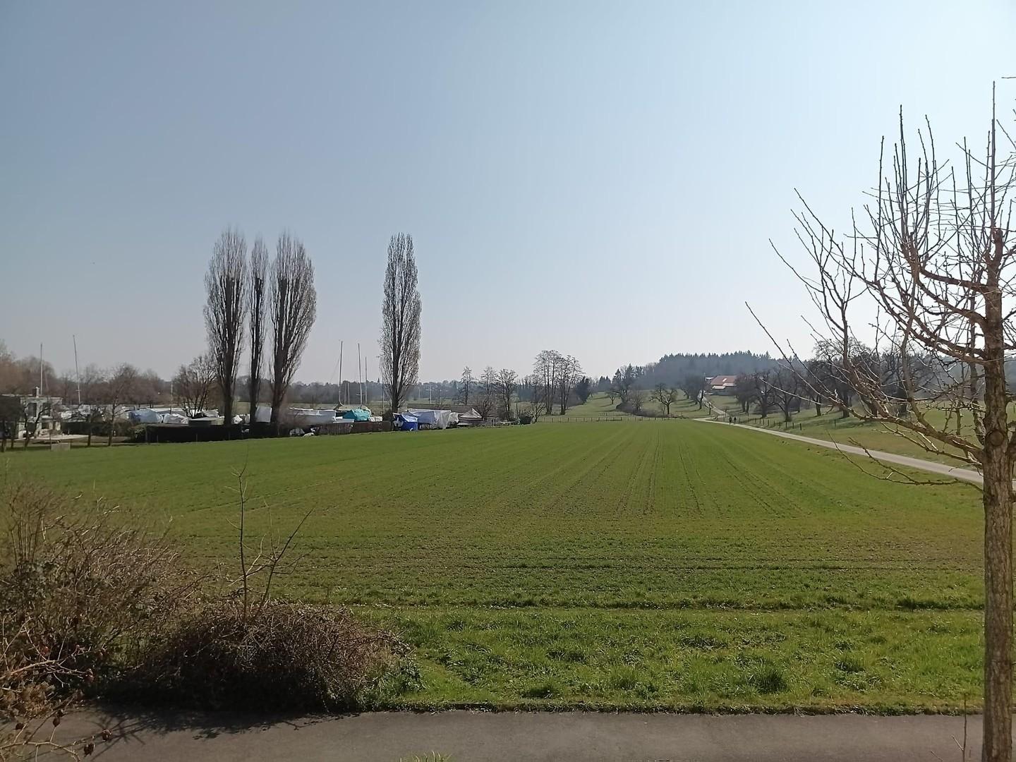 Ausblick vom Panoramafenster