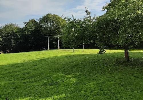 Wiese hinter den Häusern B1 