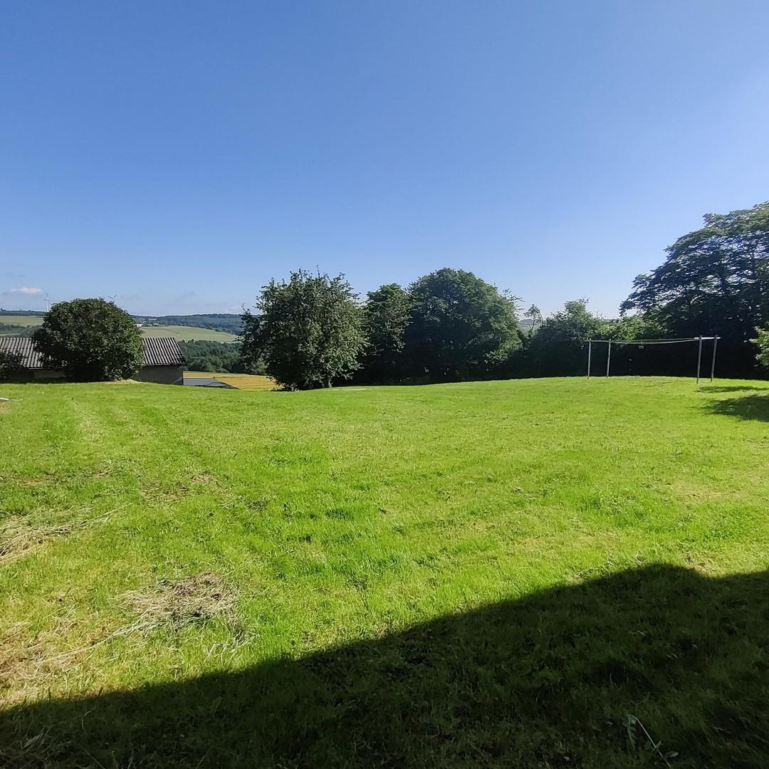 Wiese mit Aussicht B1