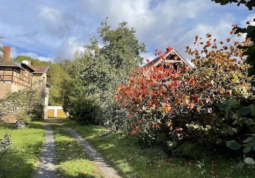 Weg zur Villa mit Garagen