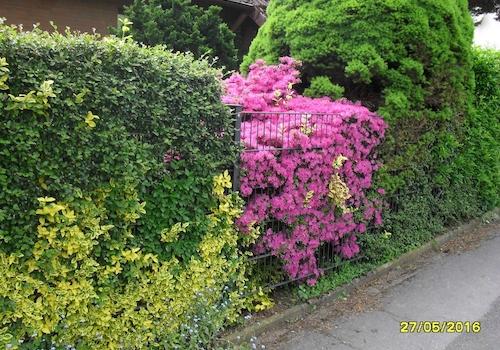 Bild vor dem Haus - Fußweg