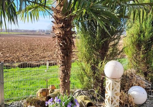 Terrasse (Bild vom Sommer)