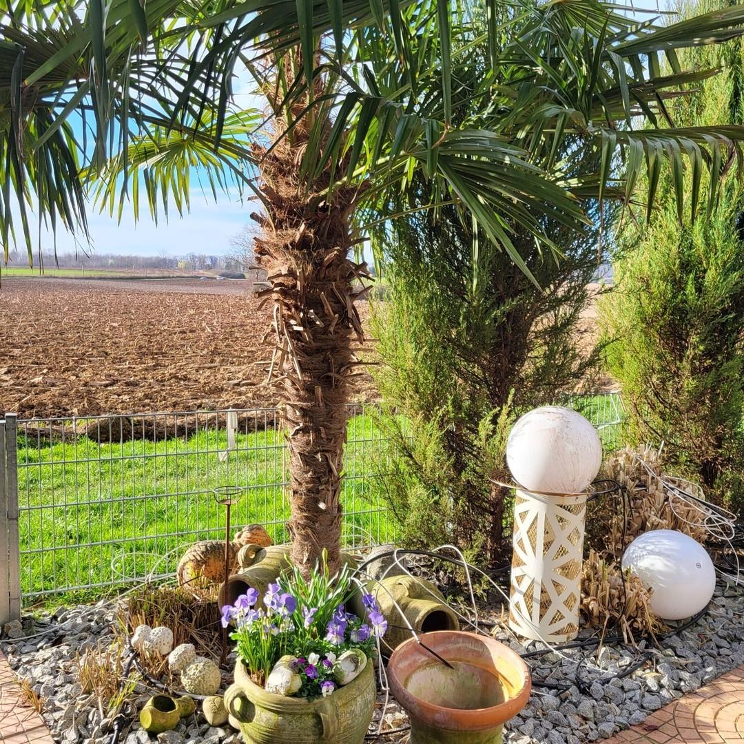 Terrasse (Bild vom Sommer)