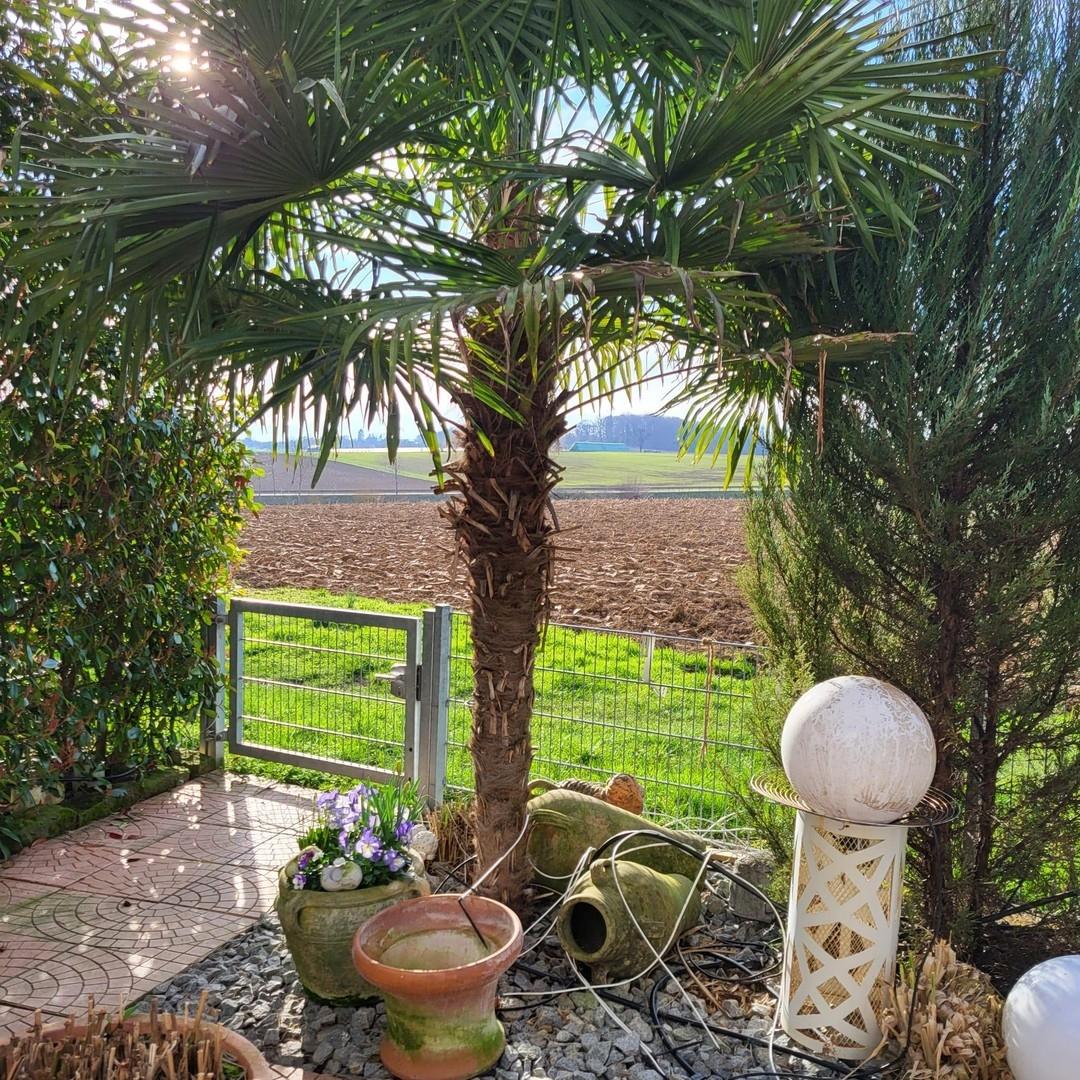 Terrasse (Bild vom Sommer)