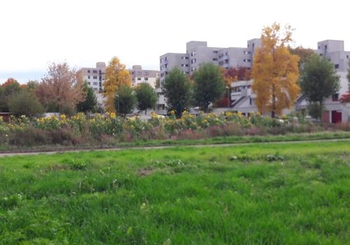 Blick auf die Wohnanlage