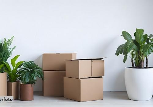 Keine Originalbilder