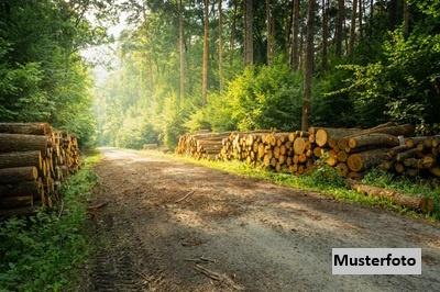 Keine Originalbilder