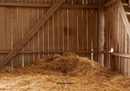 Keine Originalbilder