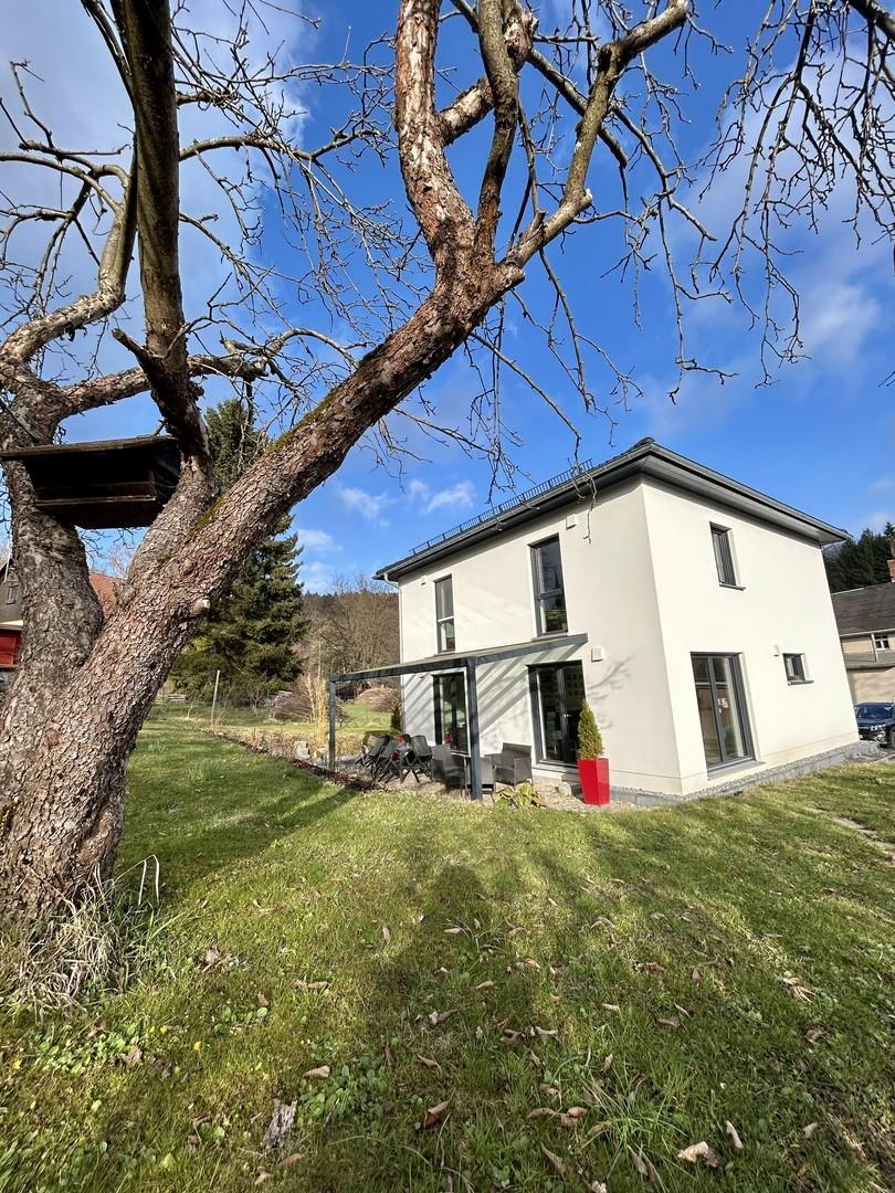 Gartenblick auf die Terrasse
