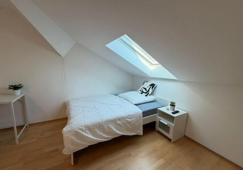 Zimmer 6 Single /Couple Room