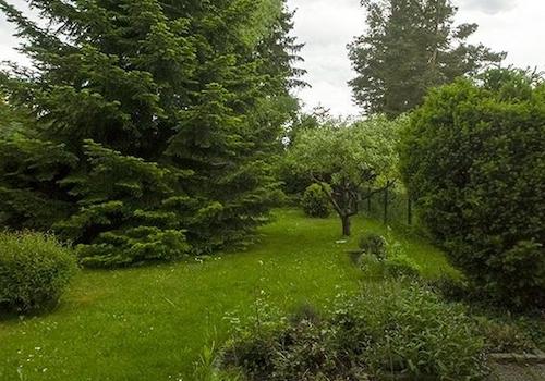 Blick von Terrasse in Garten