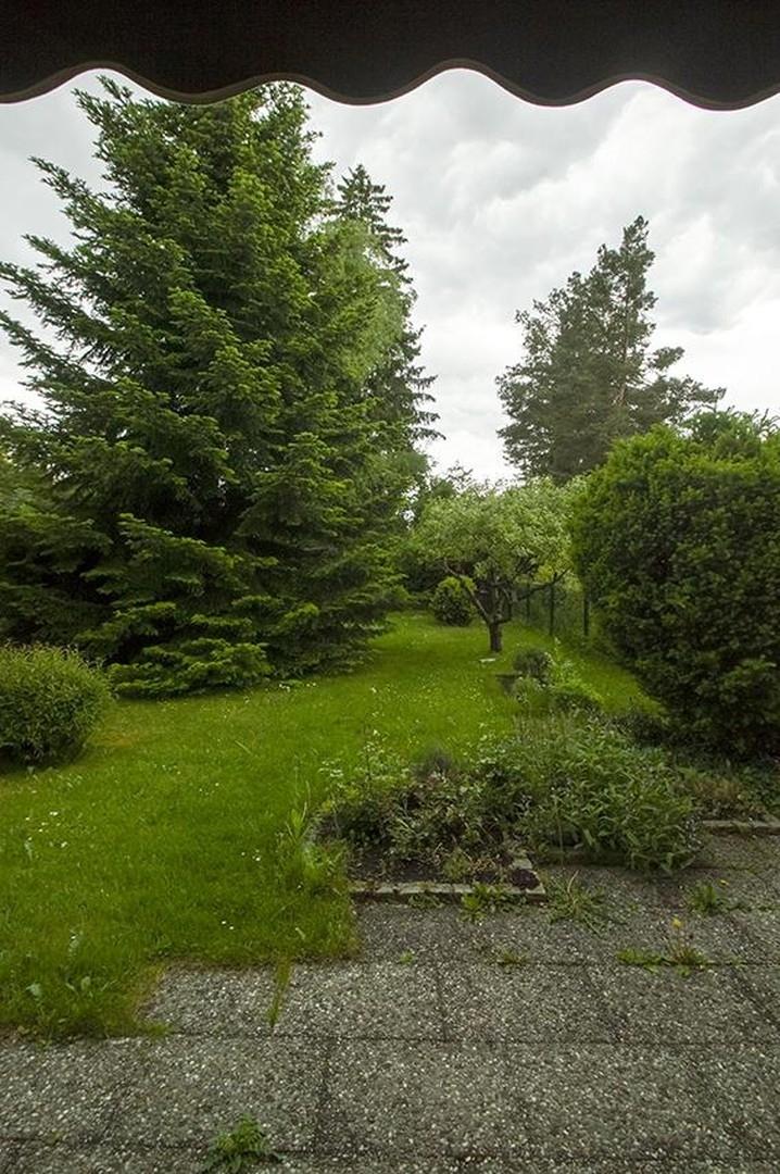 Blick von Terrasse in Garten