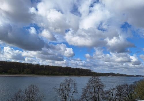 Rheinblick DG rheinabwärts