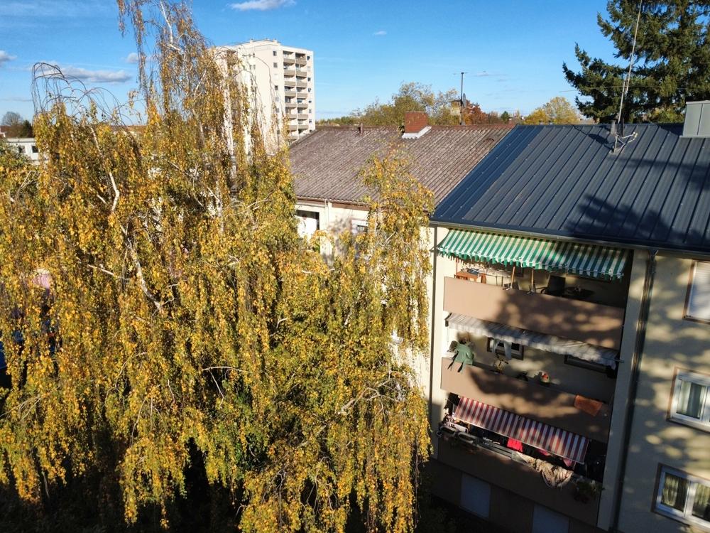 Rückseite hinter dem Baum