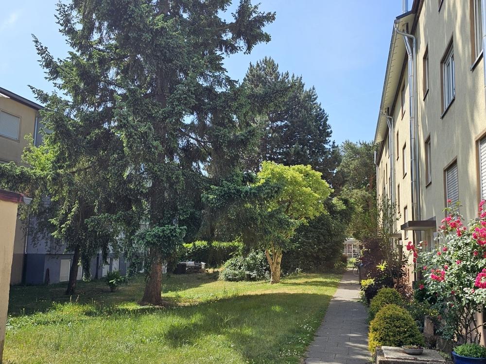 Hauseingang rechts mit Grünanlage