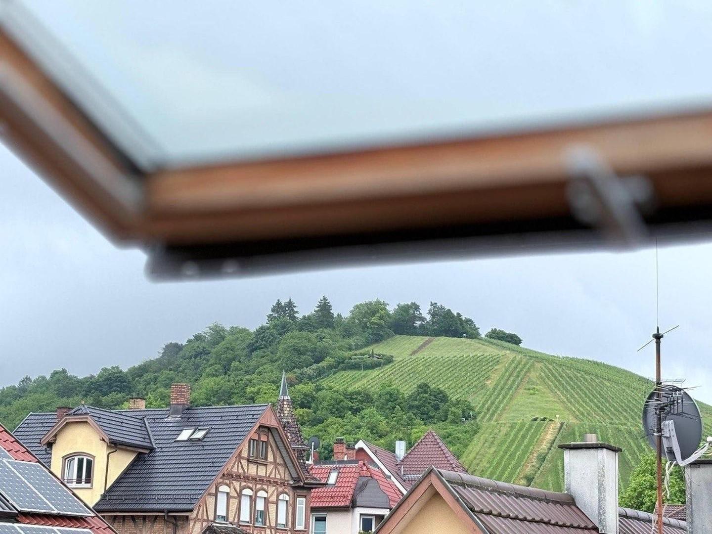 Ausblick aus der Wohnung