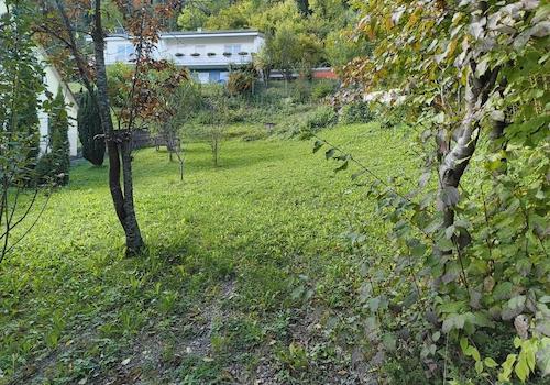 A-Bauplatz, Obstwiese