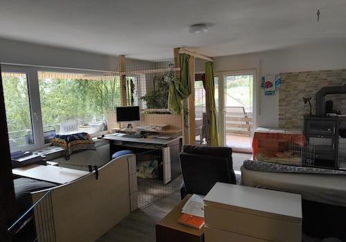 A-EG WZ, Büro - Balkon